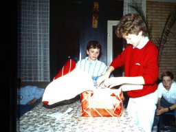 0DIA 1986 RAVA C1